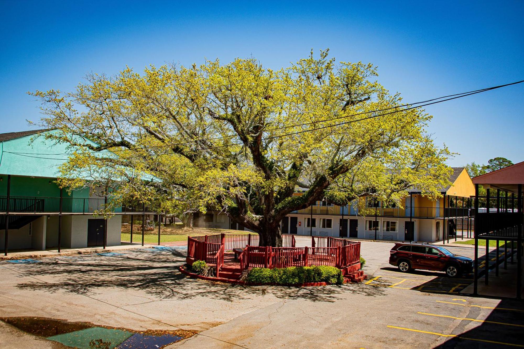 Super 8 By Wyndham Biloxi Motel Exterior foto